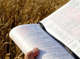 Exode 33.18-23 : Moïse dit: Fais-moi voir ta gloire!